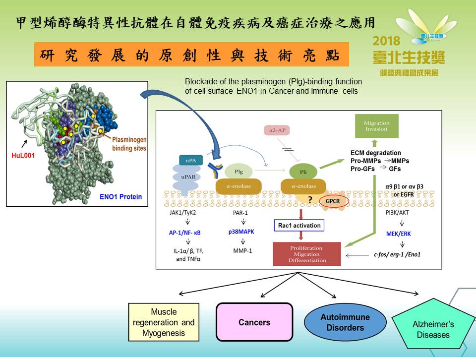 甲型烯醇酶特異性抗體在自體免疫疾病及癌症治療之應用