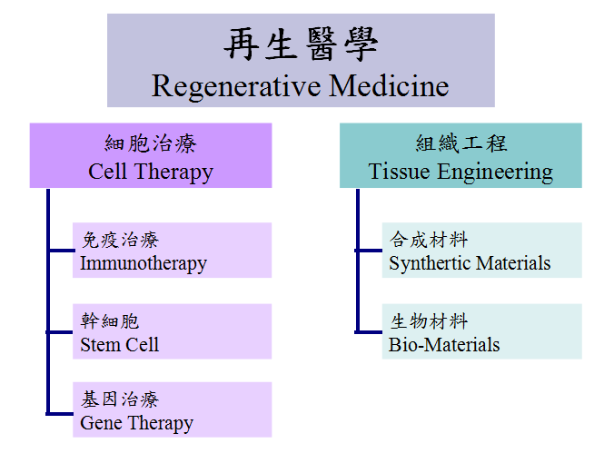 再生醫學