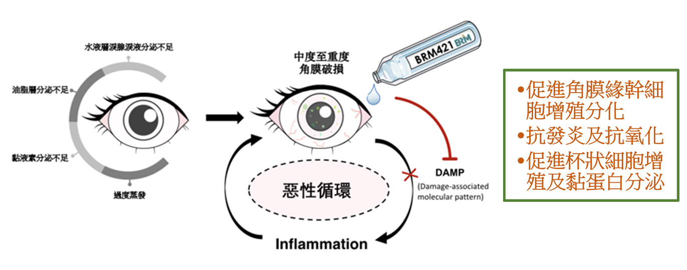 乾眼症新藥