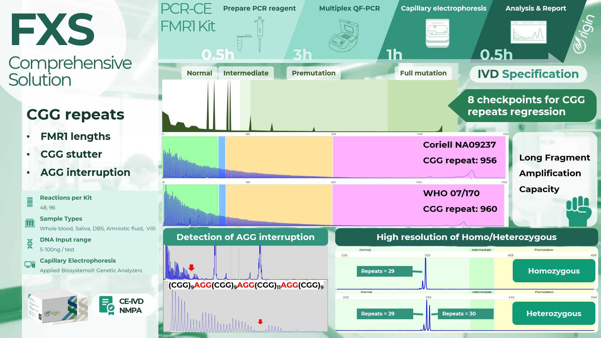 PCR-CE Fragile X Syndrome Genetic Testing Kit